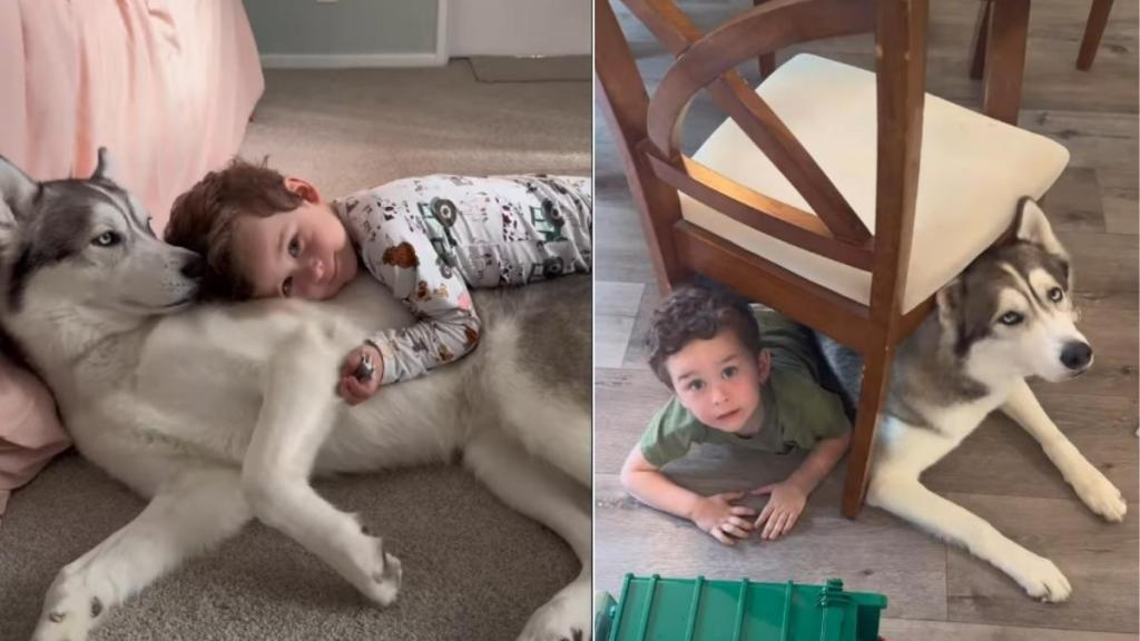 Video: Husky’s Love for Little Boy Doesn’t Need Words