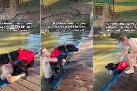 Video: Labrador Isn’t Done Swimming, No Matter What Owner Does