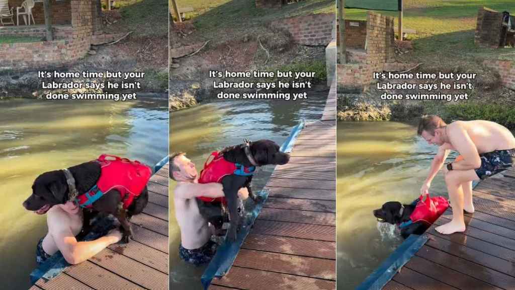Video: Labrador Isn’t Done Swimming, No Matter What Owner Does