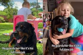 Dog Takes His Job of Guarding the ‘Tiny Human’ Very Seriously