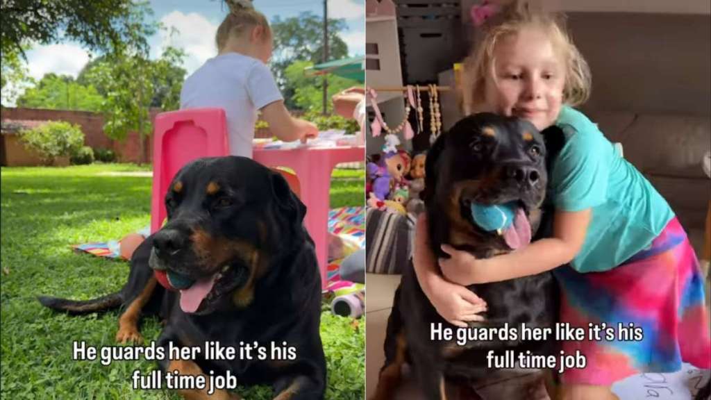 Dog Takes His Job of Guarding the ‘Tiny Human’ Very Seriously