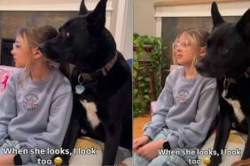 Video: Dog & Kid Look in the Same Direction at the Same Time