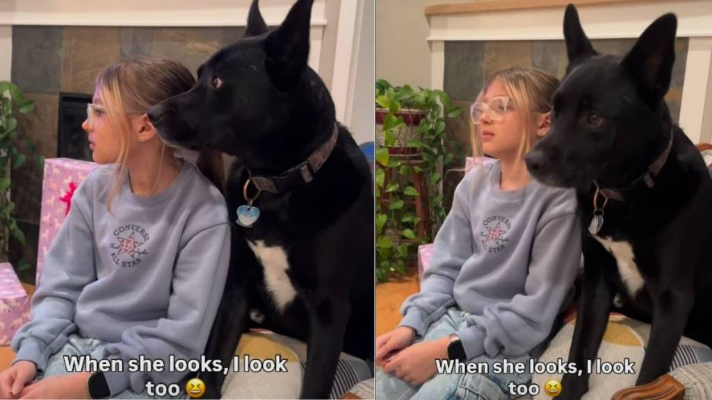 Video: Dog & Kid Look in the Same Direction at the Same Time