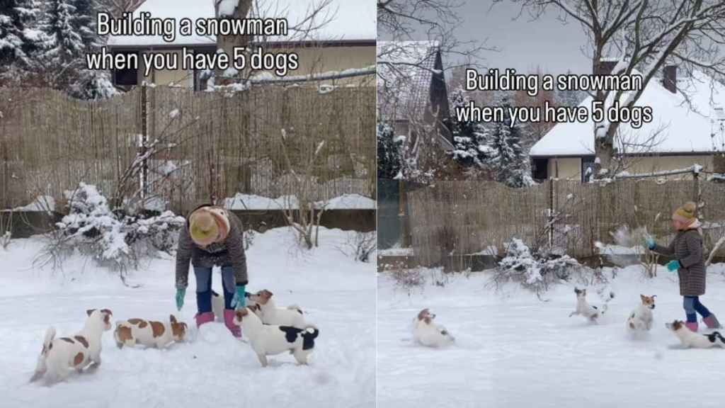 Video: What It’s Like to Build a Snowman With 5 Dogs Around