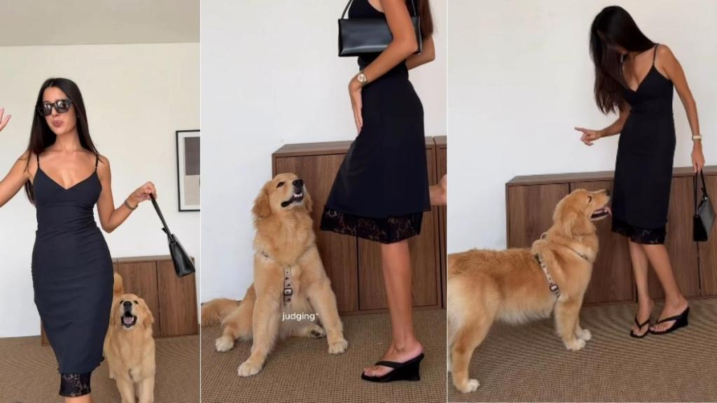Video: Golden Retriever Hijacks Mom’s Fit Check & Demands Attention