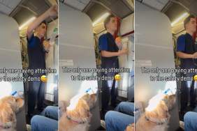 Video: Golden Retriever Is Possibly the Only One Paying Attention to Flight Safety Demo