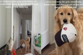 Video: Golden Retriever Uses a Sneaky Trick to Get Owners Out of Bed