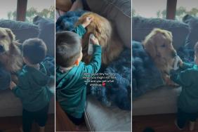 Golden Retriever Plays Along as Tiny Human Pretends to Be a Doctor