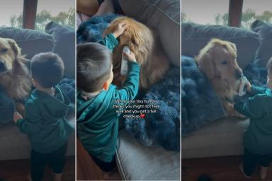 Golden Retriever Plays Along as Tiny Human Pretends to Be a Doctor