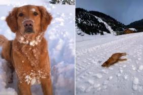 Video: Dog Gives ‘Olympics’ Worthy Performance in Snow