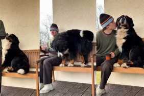 Dog Possibly Doesn't Like Owner Drinking Coffee in Hilarious Video