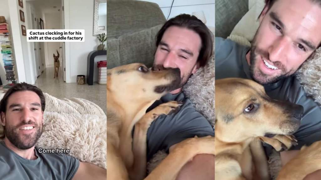 Video Shows Rescue Pup Running to Owner for Hugs