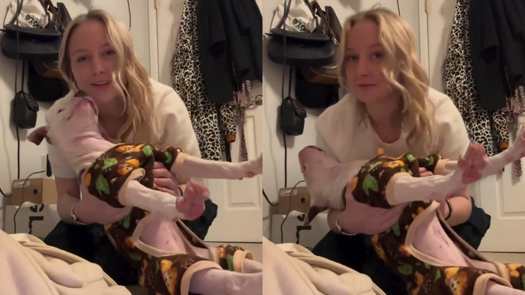 Puppy Goes Viral for How She Wakes Up