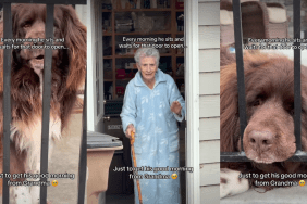 Big Dog's Morning Routine Is to Wait for Grandma to Open Her Door