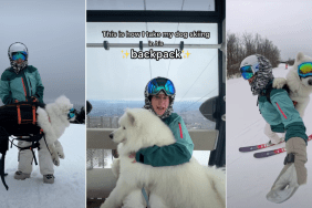 Video: Big Dog Goes Skiing, but There's a Catch