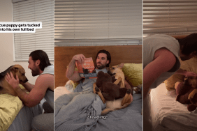 Video: Rescue Pup Has a Bedtime Routine That Will Surprise You