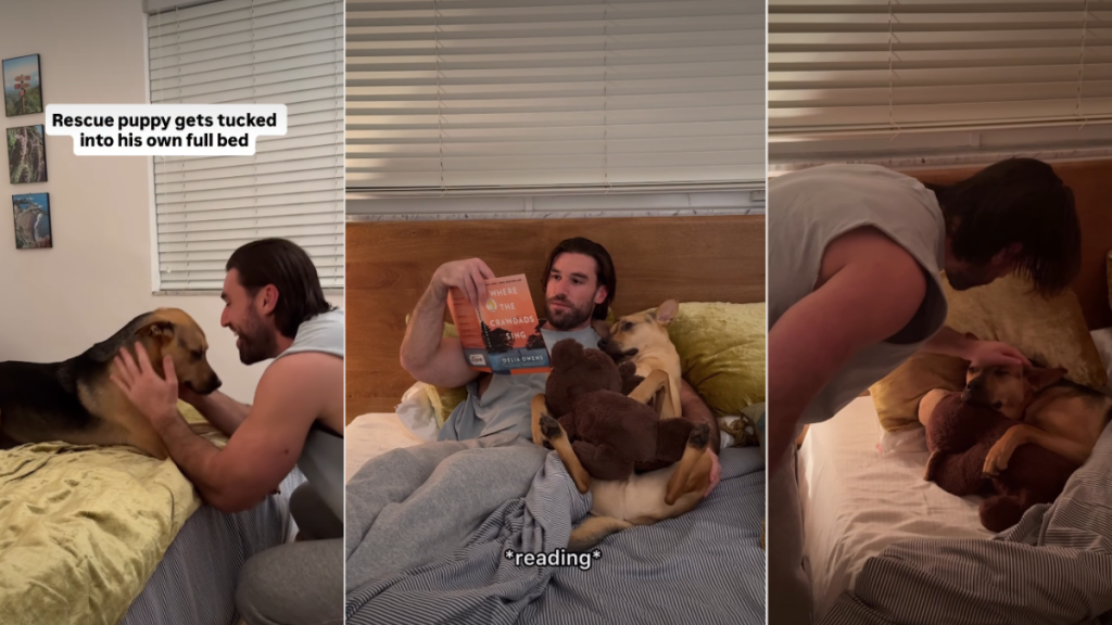 Video: Rescue Pup Has a Bedtime Routine That Will Surprise You