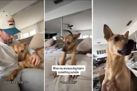 Video: Rescue Pup Gets Alarmed by a Noise & Immediately Goes to Owner