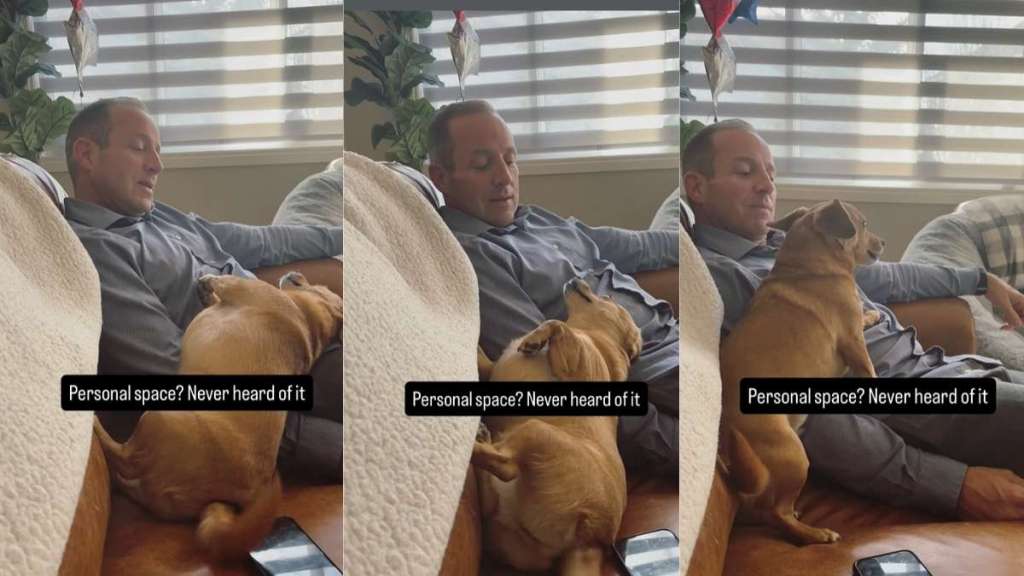 Video Clearly Shows Dog Has No Idea What Personal Space Is
