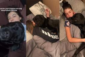 Video Shows What It’s Like To Share a Bed With ‘Human-Sized Dog'