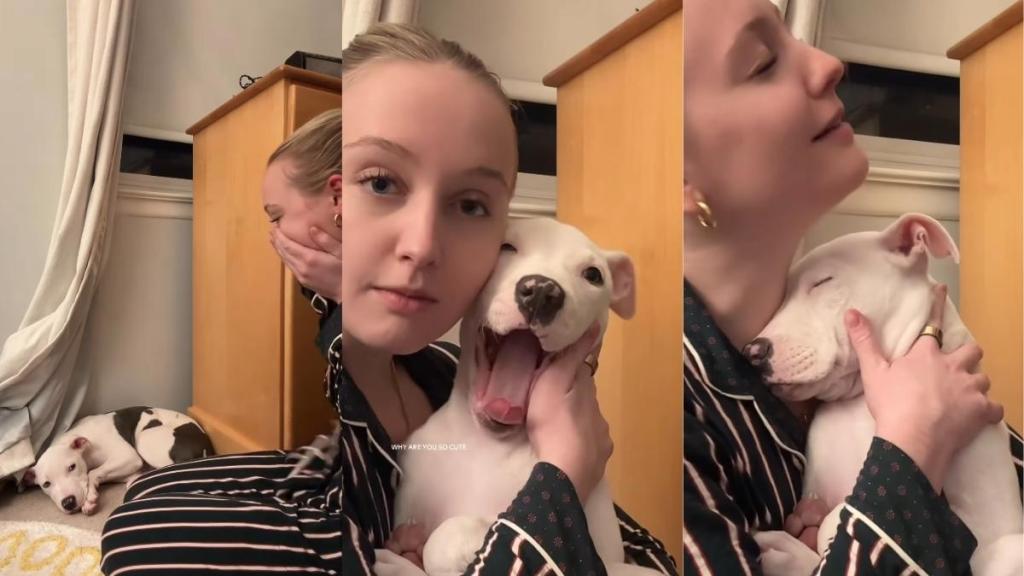 Video: Rescue Puppy Wakes up Only To Go Back To Sleep in Mom’s Arms