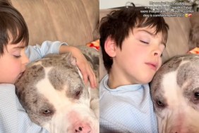 Video: Rescue Dog Comforts Kid After He Unexpectedly Loses His Dog