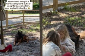 Big Dog's Always Watching Over Tiny Human in Adorable Video