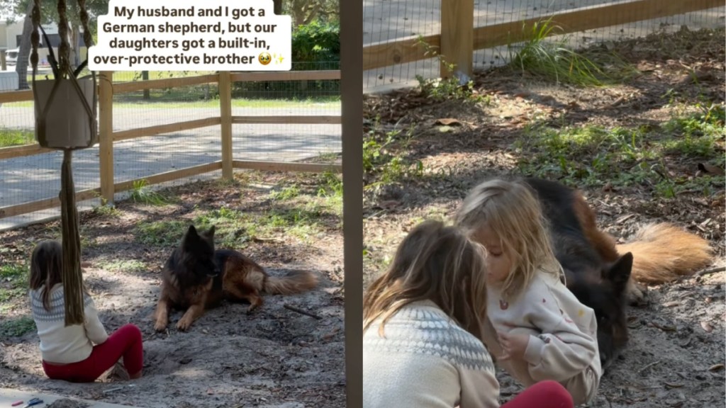 Big Dog's Always Watching Over Tiny Human in Adorable Video