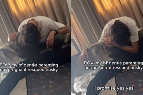 Video of Dad Gentle Parenting Pregnant Rescue Dog Is Everything