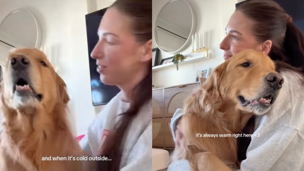 Golden Retriever Shares Cozy Hugs With Mom in Wholesome Video