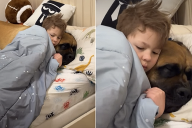 big dog tiny human video