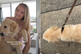 puppy first walk video