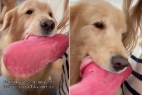 Dog’s Reaction to Owner’s Return From Work Trip Is Everything