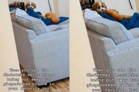 Dog Guards Favorite Toy While Christmas Decorations Are Put Away