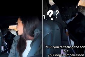Video: Dog Feels ‘Embarrassed’ by Mom’s Car Act