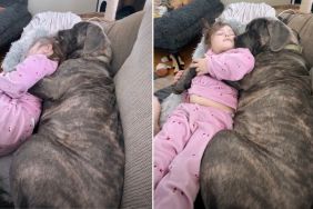 Video: Dog & Kid Show How to Spend Sunday Perfectly