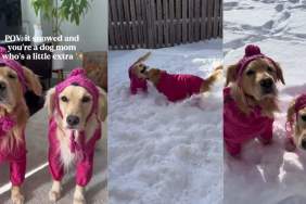 Video: Dog Duo’s Outfits for a Snowy Day Are Pink Perfection