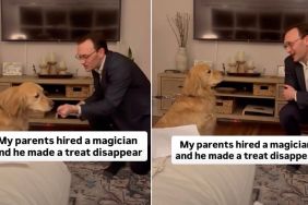 Golden Retriever Reacts to Magician Making Her Treat Disappear
