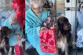 Big Dog Makes Grandma Laugh in Adorable Gift-Giving Video