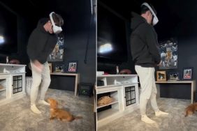 Video: Dog's Ready to Fetch During Dad’s VR Golf Game