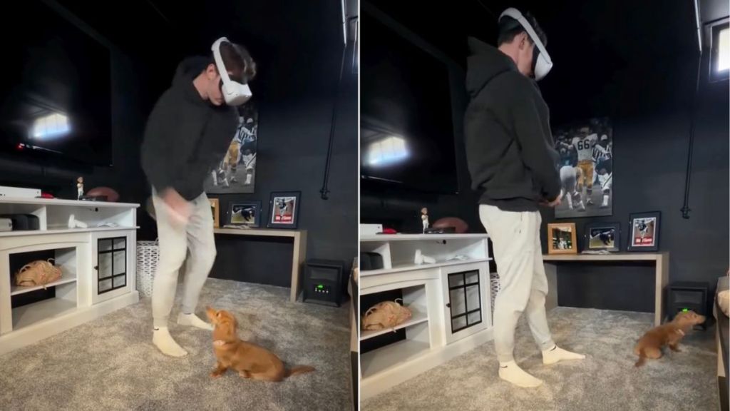 Video: Dog's Ready to Fetch During Dad’s VR Golf Game