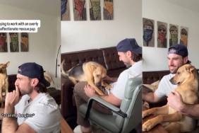 'Overly Affectionate' Rescue Pup Can't Stop Staring at Dad in Adorable Video