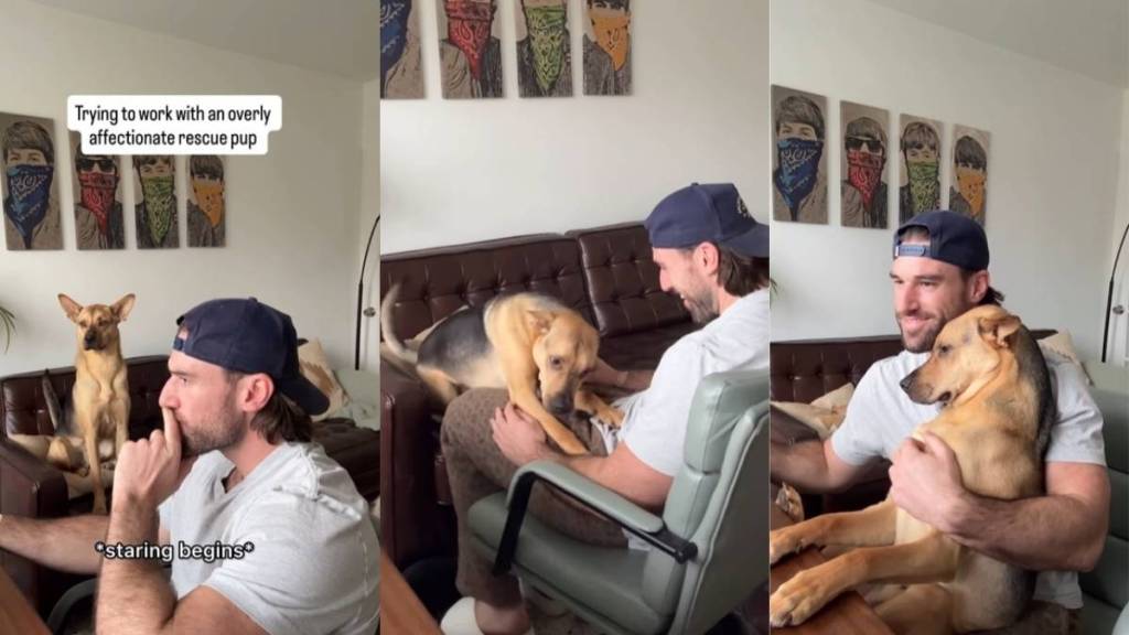 'Overly Affectionate' Rescue Pup Can't Stop Staring at Dad in Adorable Video