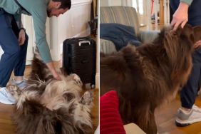 Video: Dog Reacts When He Hears Dad's Car Pull Up