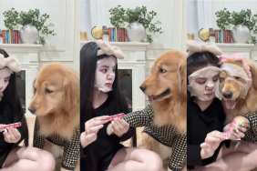 Video: Golden Retriever Adorably Joins Mom in Beauty Ritual
