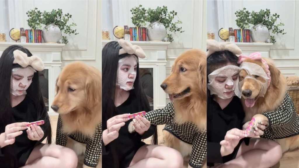 Video: Golden Retriever Adorably Joins Mom in Beauty Ritual