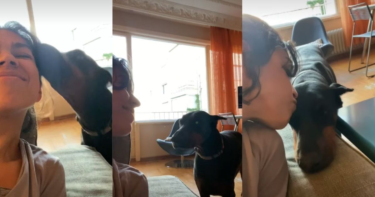 Rescue Dog's Reaction to Being Kissed Is Unlike Anything You've Ever Seen - DogTime