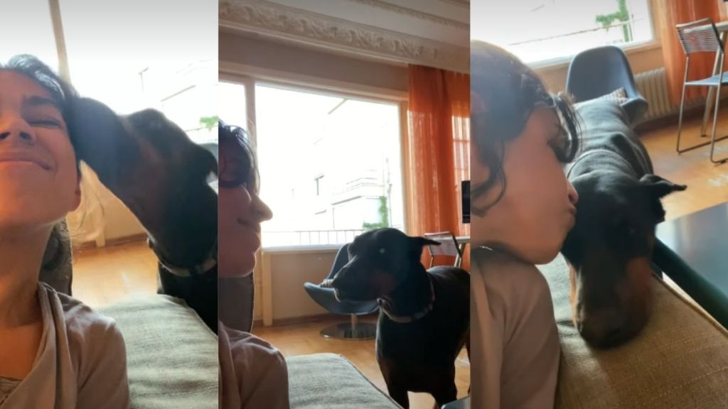 Rescue Dog's Reaction to Being Kissed Is Unlike Anything You've Ever Seen