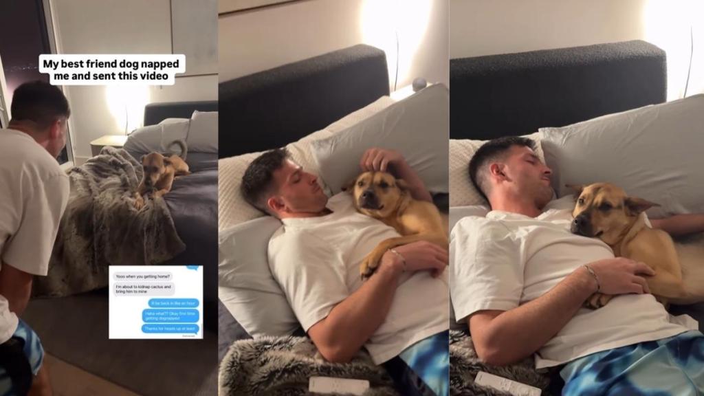 Video: Rescue Pup Hung Out With Dad's Bestie & Had a Great Time