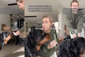 Video: Big Dog Gets Tricked Into Taking His Ear Drops in Cute Video